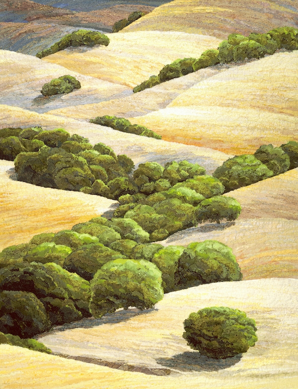 Bay Area Foothills