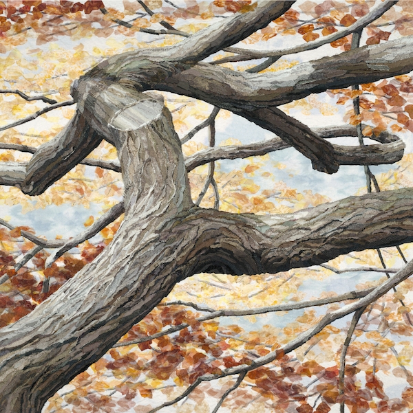 Branching Out