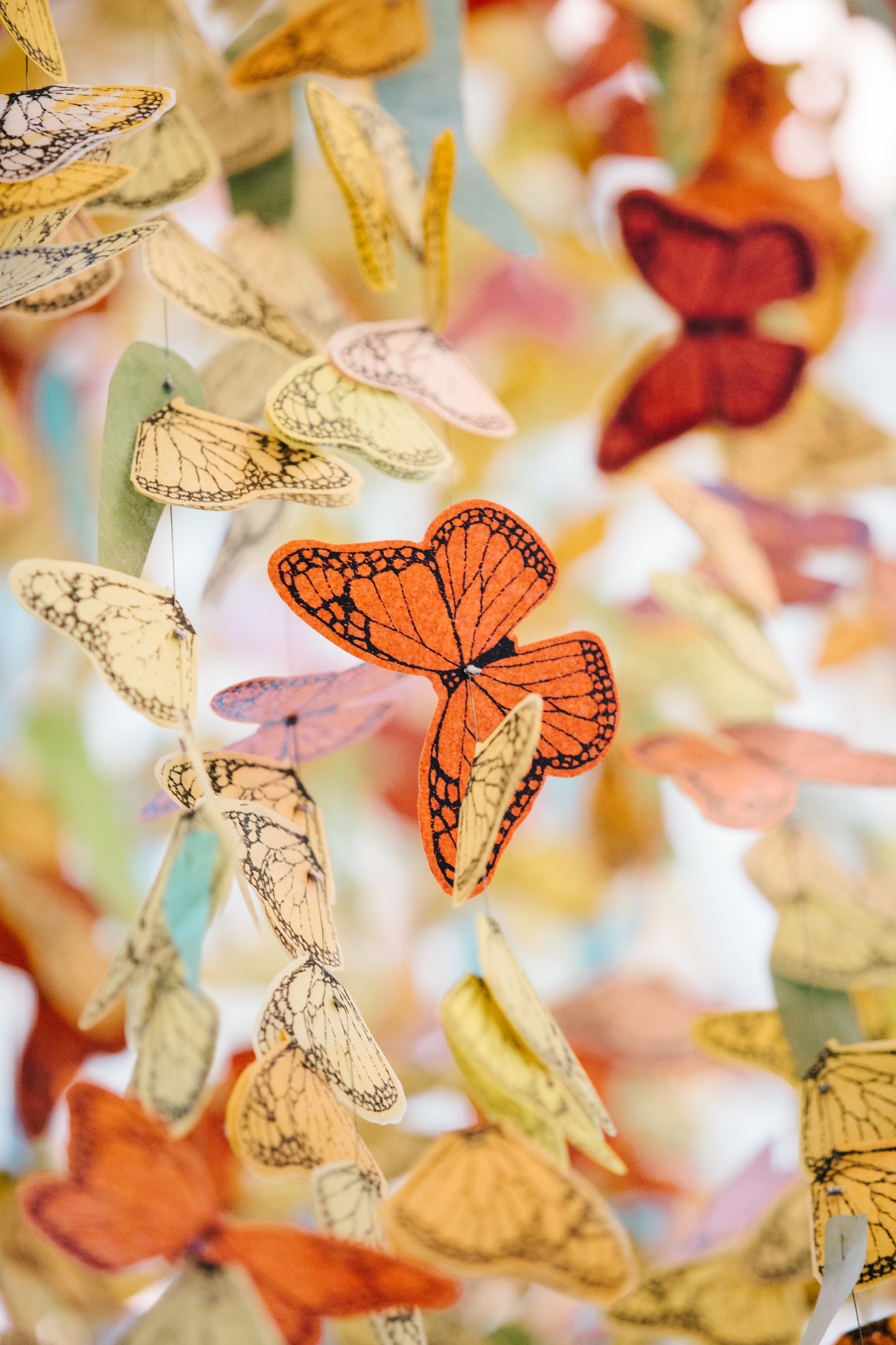 Butterfly Effect (Exterior View)