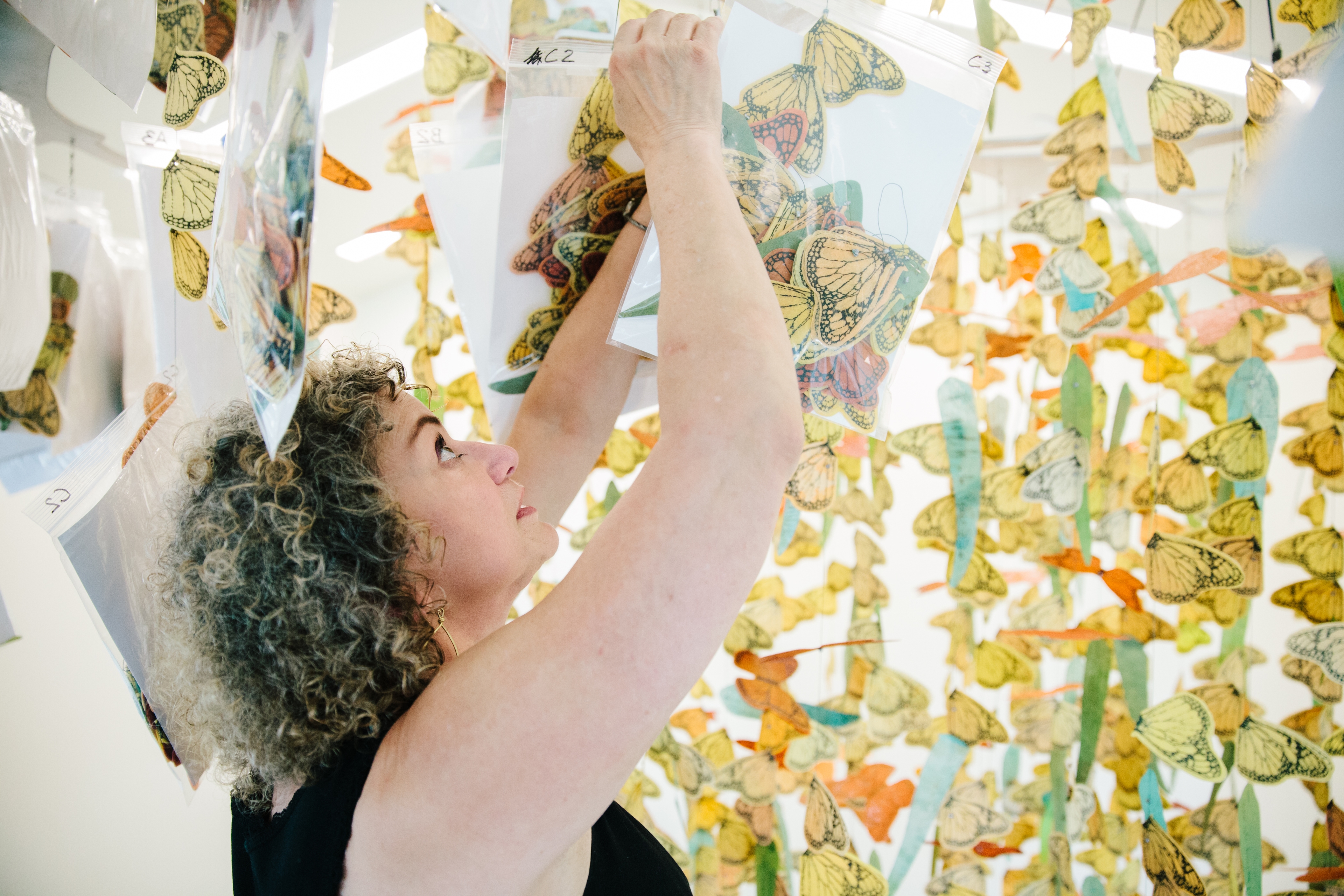 Butterfly Effect (Interior View)