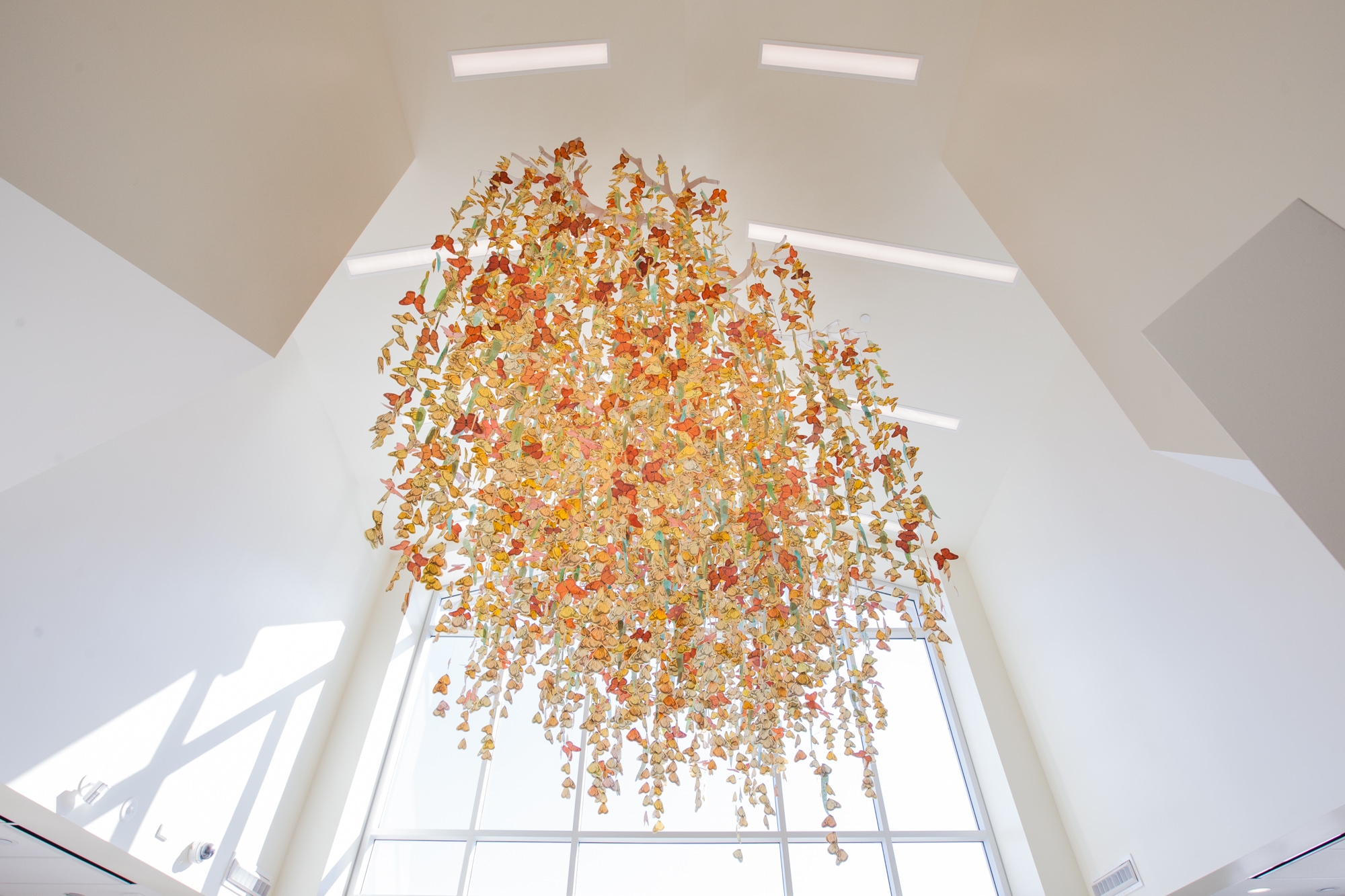 Butterfly Effect (Interior View)