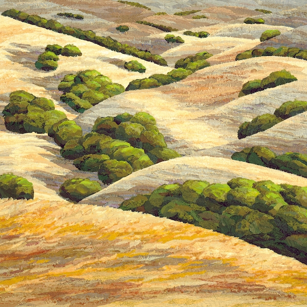 Central Coast Foothills