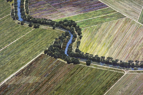 Fields