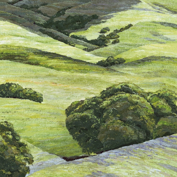 Foothills In Spring