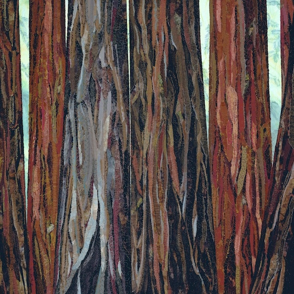 Headwater Redwoods