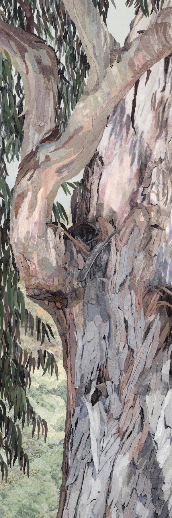 Eucalyptus II