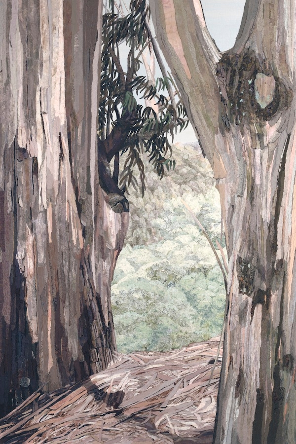 Eucalyptus